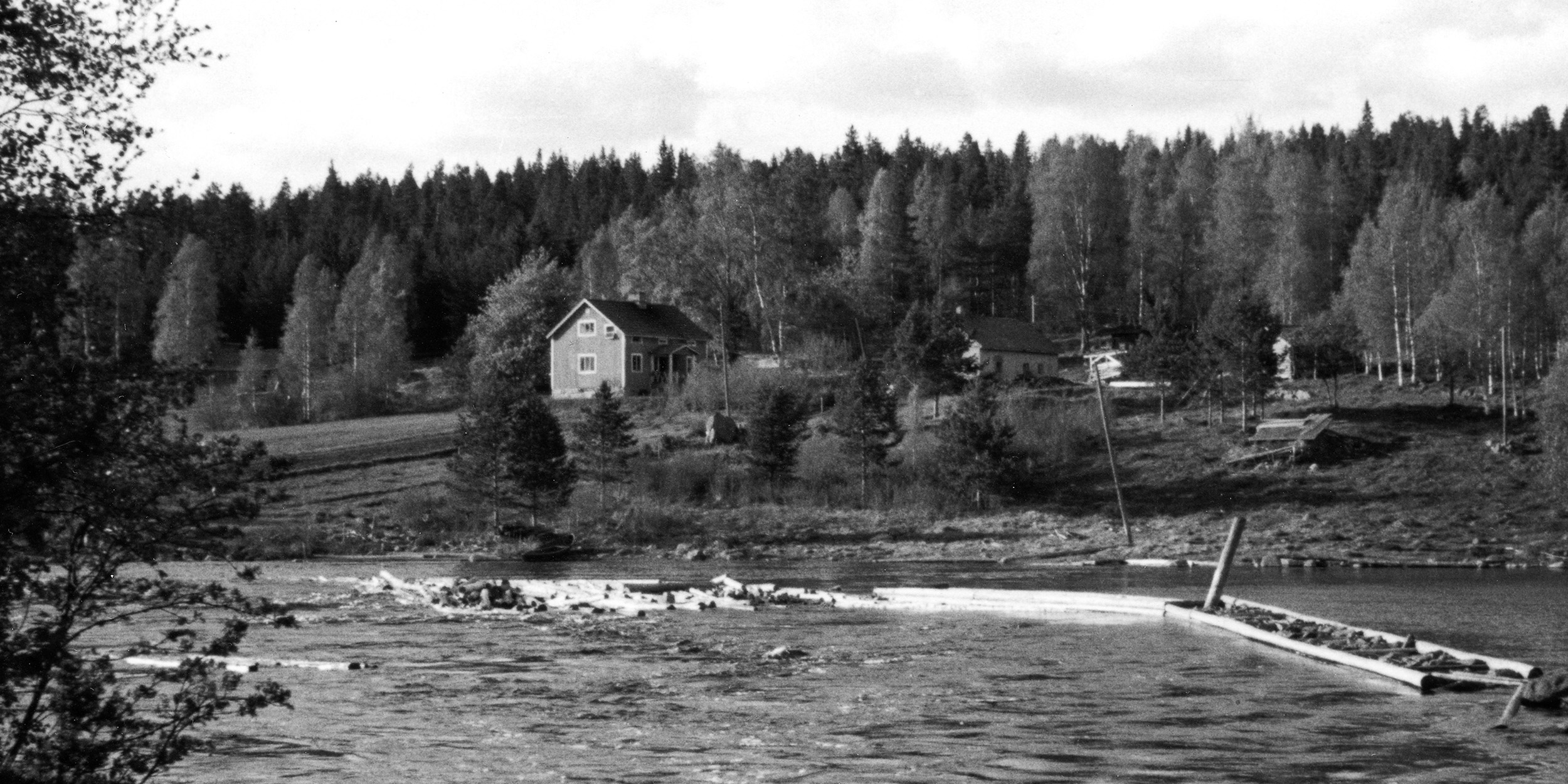 Uitto käynnissä vielä kahlitsemattomassa Leuhunjoessa 1950-luvulla. Makasiinisaarelta otettu kuvassa Juholan päärakennus ja oikealla tiilinavetta. Kuva: Saarijärven museon kuva-arkisto.