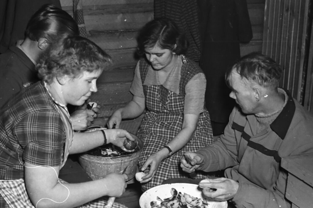 Kämppäemäntiä ja tukkijätkiä kuorimassa perunoita. Kuva: Ilomantsin museosäätiö.