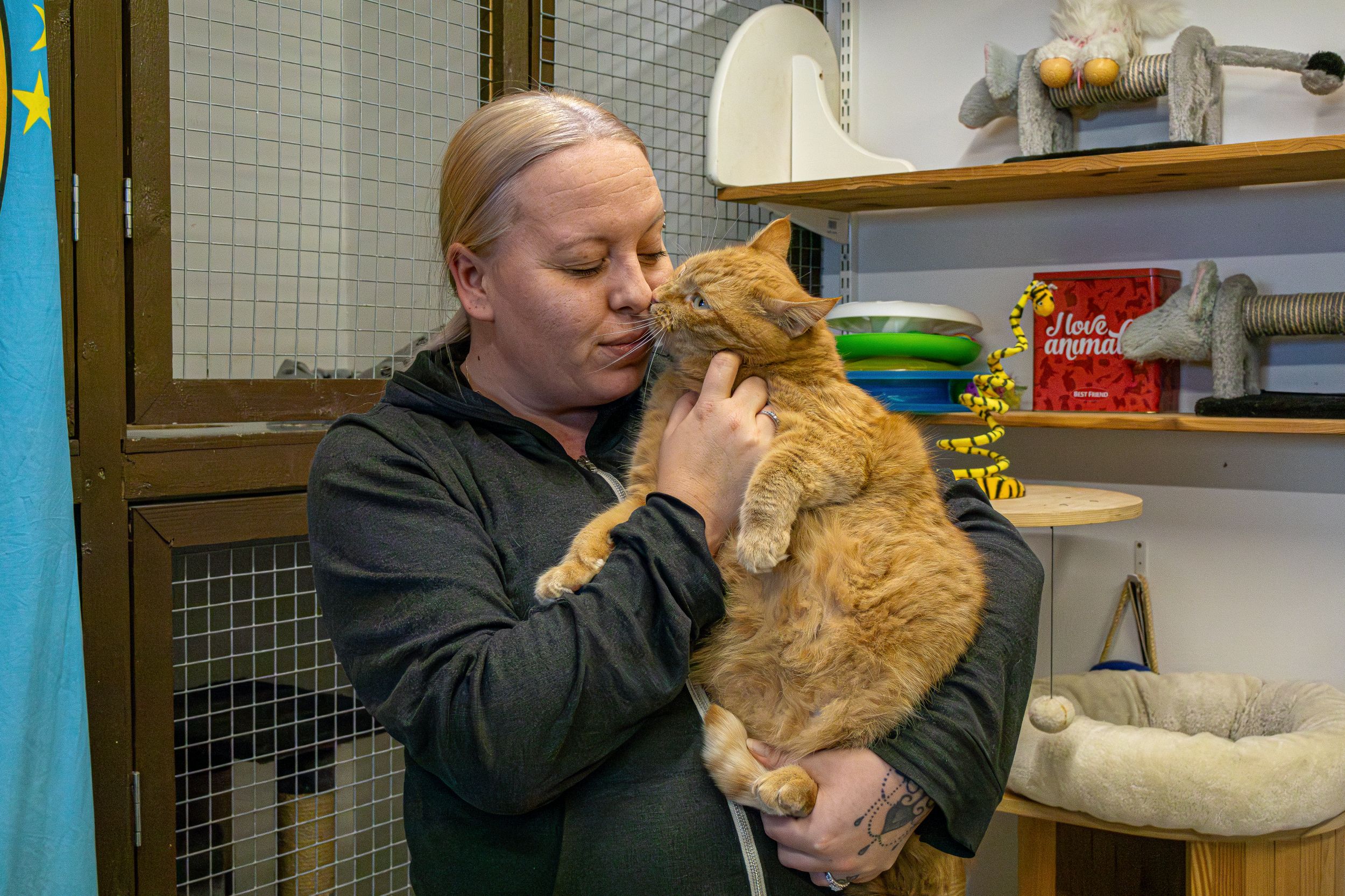 Kissa naisen sylissä Lemmikkihotelli Karvakorvat